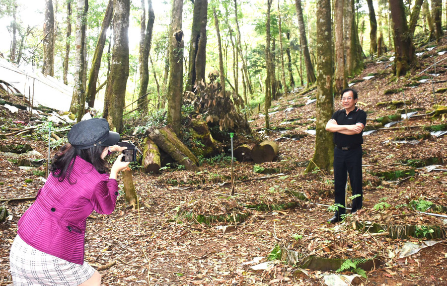 Du khách thích thú với trải nghiệm tại vườn sâm Ngọc Linh. Ảnh: P.N Du khách thích thú với trải nghiệm tại vườn sâm Ngọc Linh. Ảnh: P.N