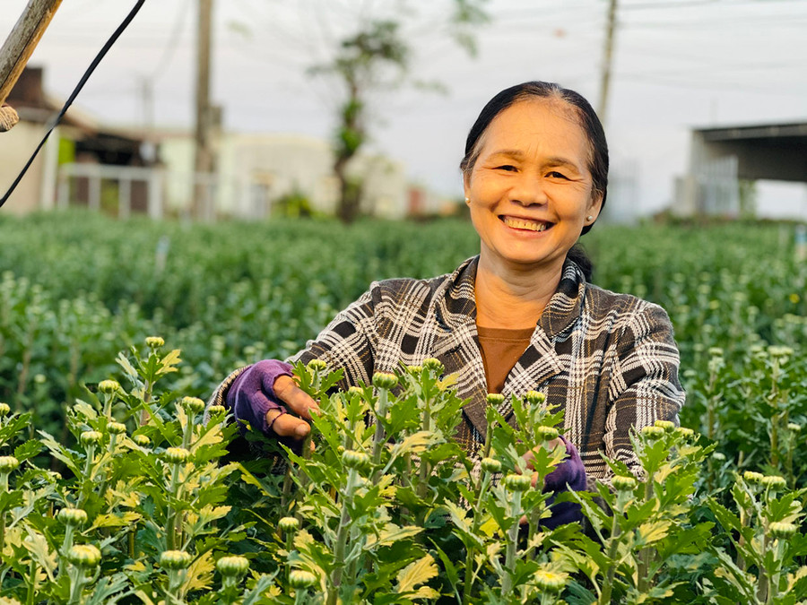Nụ cười rạng rỡ, lấp lánh hy vọng của người nông dân dưới ánh đèn đêm như chờ đợi một mùa hoa đẹp, bán được giá. Ảnh: Trần Dung Nụ cười rạng rỡ, lấp lánh hy vọng của người nông dân dưới ánh đèn đêm như chờ đợi một mùa hoa đẹp, bán được giá. Ảnh: Trần Dung