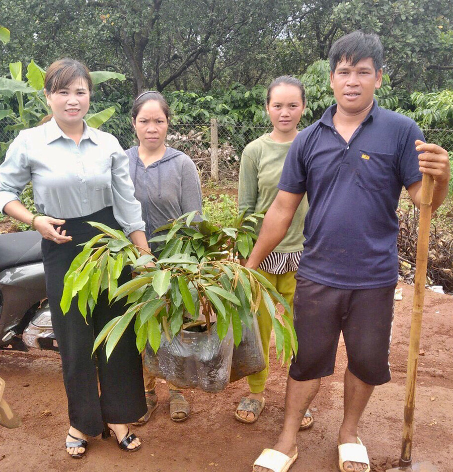 Hội Nông dân xã Ia Grăng (huyện Ia Grai) hỗ trợ giống cây ăn quả cho hội viên. Ảnh: Lê Nam Hội Nông dân xã Ia Grăng (huyện Ia Grai) hỗ trợ giống cây ăn quả cho hội viên. Ảnh: Lê Nam