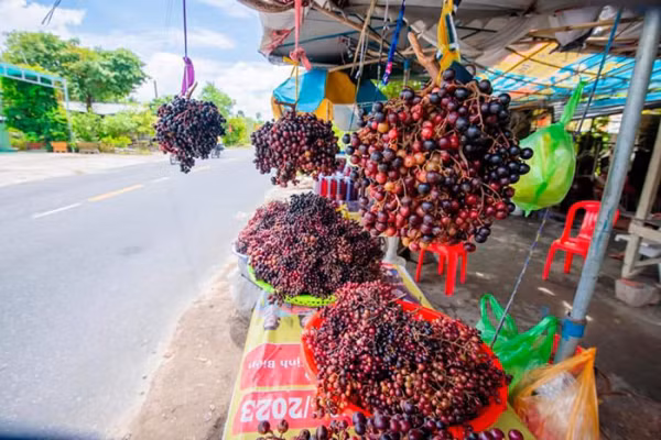 Nho rừng đầu mùa được bày bán ngoài đường.