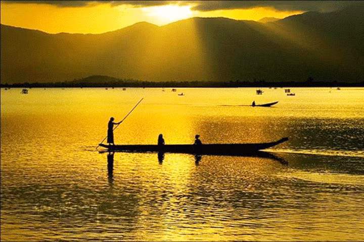 Khi đến hồ Lắk bạn còn được khám phá hệ động thực vật phong phú.