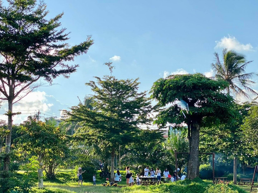 Không gian xanh mát yên bình tại Paksong Farmstay Gia Lai được nhiều du khách yêu thích lựa chọn. Ảnh NVCC