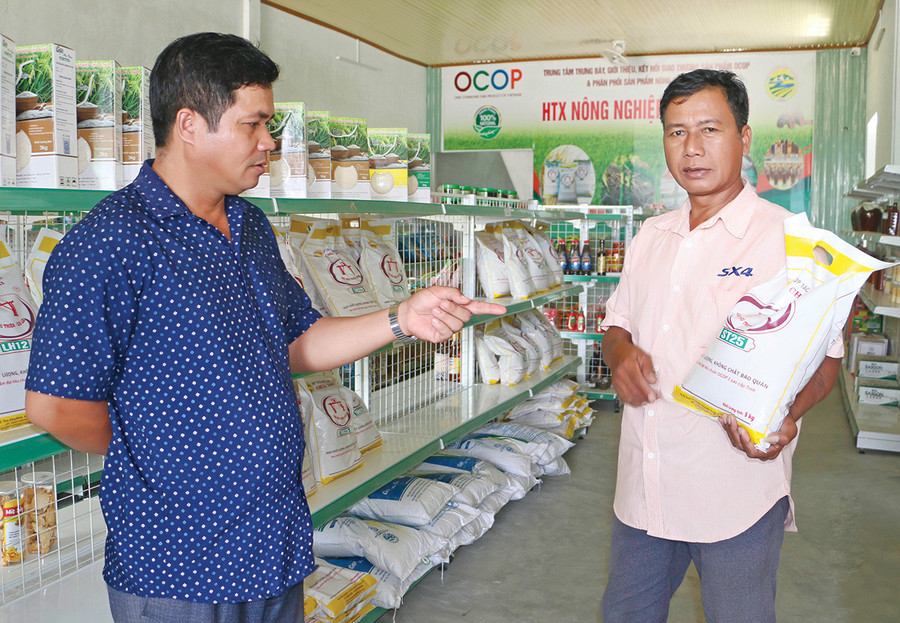 Các sản phẩm gạo của HTX Nông nghiệp Chư A Thai đạt 4 sao cấp tỉnh và được thị trường rất ưa chuộng. Ảnh: N.Q Các sản phẩm gạo của HTX Nông nghiệp Chư A Thai đạt 4 sao cấp tỉnh và được thị trường rất ưa chuộng. Ảnh: N.Q