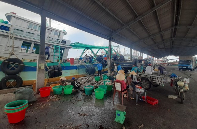 Cảng cá Trần Đề là một trong những cảng cá lớn nhất miền Tây