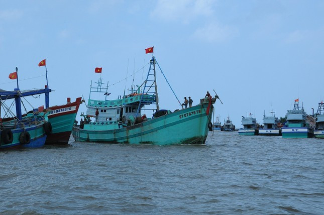 Tàu cá cập cảng Trần Đề