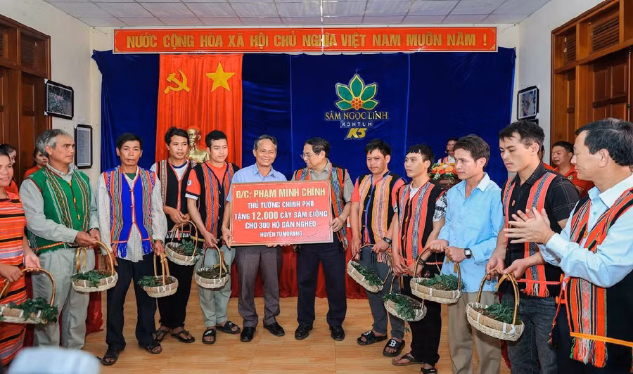 Thủ tướng Chính phủ Phạm Minh Chính tặng cây sâm giống cho hộ nghèo xã Măng Ri, huyện Tu Mơ Rông. Ảnh: CN