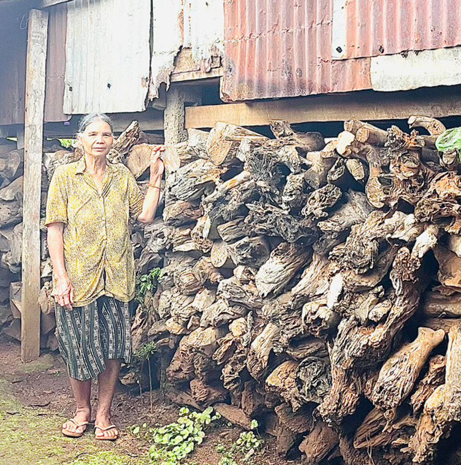 Với người Jrai, trữ củi không chỉ phục vụ sinh hoạt mà còn góp phần gìn giữ nét đẹp truyền thống của dân tộc. Ảnh: H.T Với người Jrai, trữ củi không chỉ phục vụ sinh hoạt mà còn góp phần gìn giữ nét đẹp truyền thống của dân tộc. Ảnh: H.T