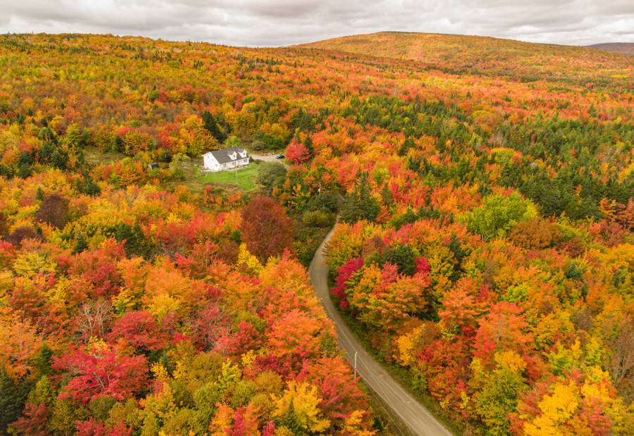 Khám phá mùa thu rực rỡ ở nơi hình thành nên đất nước Canada - Ảnh 5. "Rừng phong thu đã nhuốm màu quan san" trên con đường Cabot Trail. Ảnh: TRẦN THẾ DŨNG