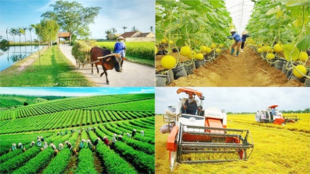 Ảnh minh họa Ảnh minh họa