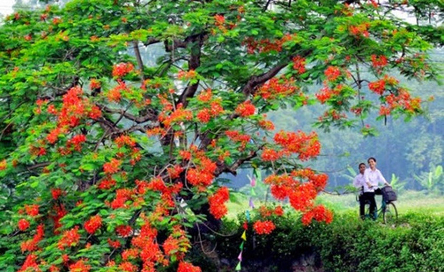 Ảnh minh họa, nguồn internet Ảnh minh họa, nguồn internet