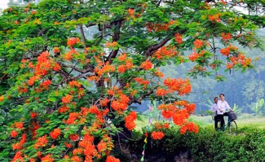 Ảnh minh họa, nguồn internet