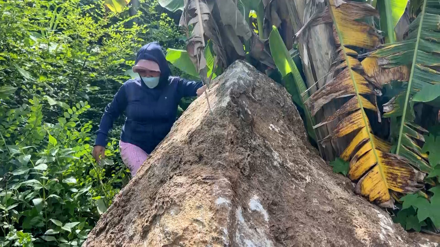 Đá lăn xuống rẫy nhà bà Chương