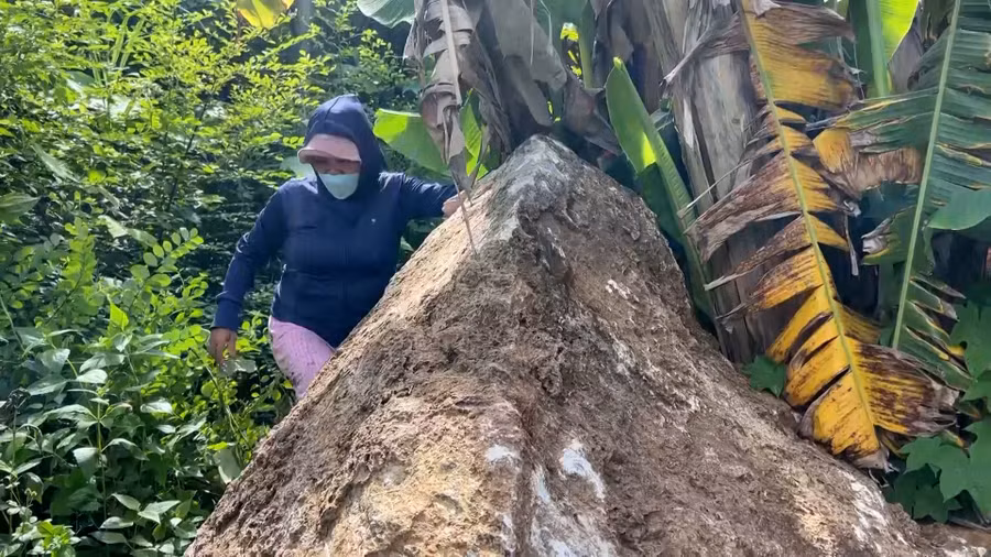 Đá lăn xuống rẫy nhà bà Chương