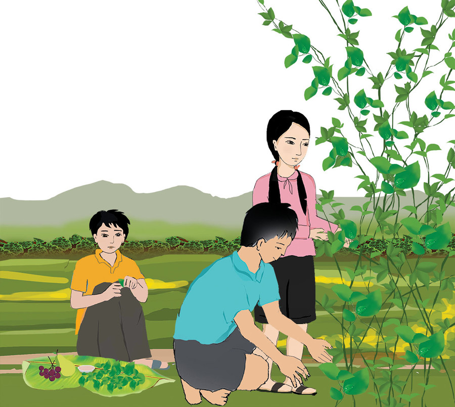 Minh họa: Huyền Trang Minh họa: Huyền Trang