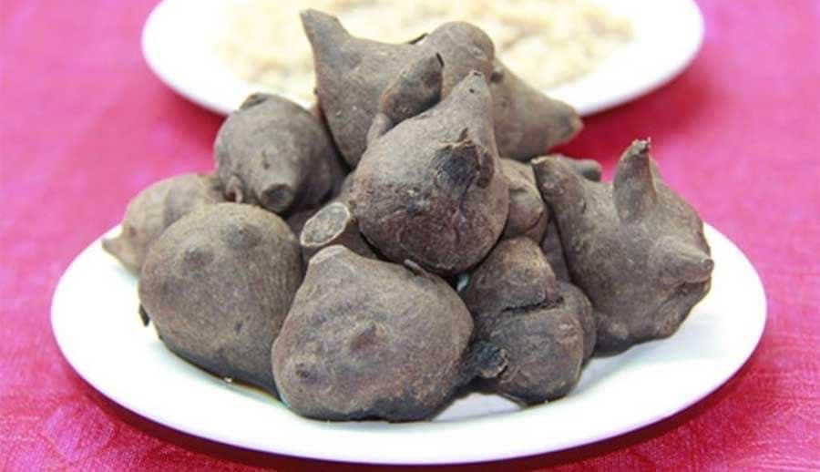 Trong thành phần của củ ấu tẩu chứa Aconitin là chất rất độc.