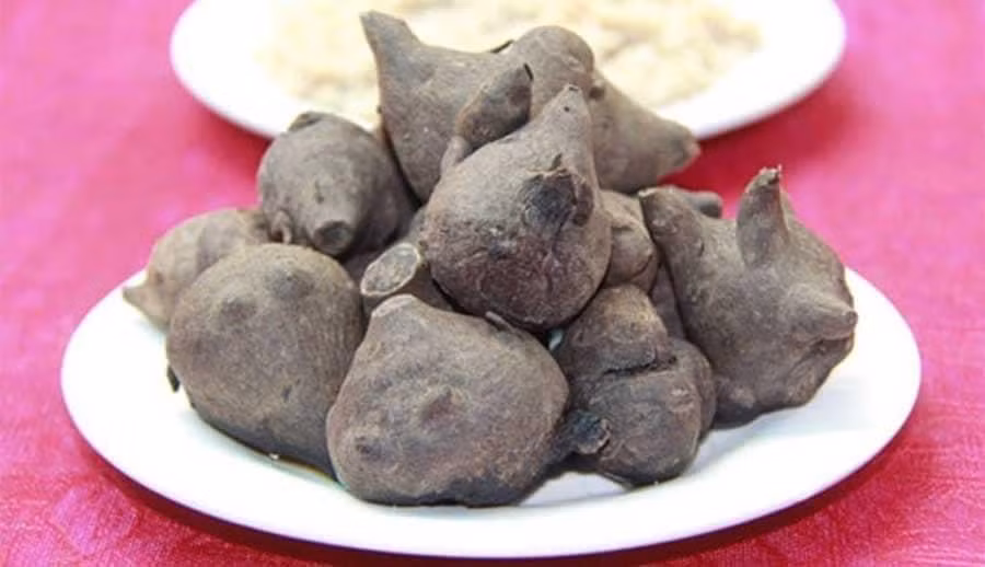 Trong thành phần của củ ấu tẩu chứa Aconitin là chất rất độc.