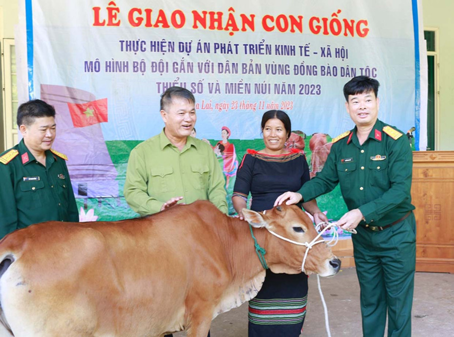 Trung đoàn Kinh tế- Quốc phòng 710 tặng bò cho người dân. Ảnh: Vĩnh Hoàng Trung đoàn Kinh tế- Quốc phòng 710 tặng bò cho người dân. Ảnh: Vĩnh Hoàng