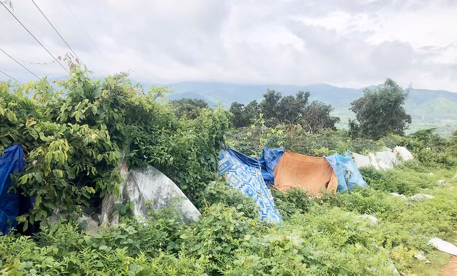 Người dân phải dùng bao bạt để che chắn rác thải bay vào vườn. Ảnh: L.N Người dân phải dùng bao bạt để che chắn rác thải bay vào vườn. Ảnh: L.N