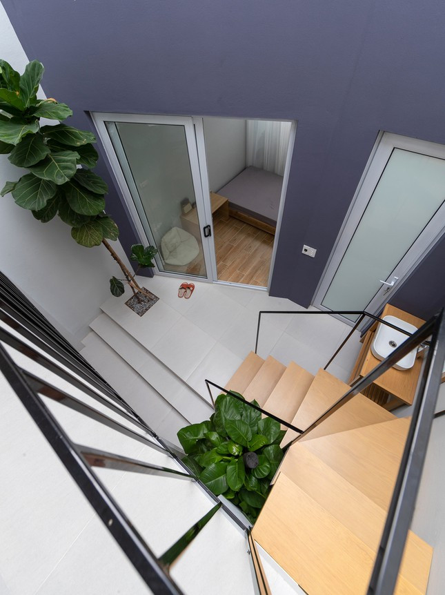 Không gian đệm tràn ngập ánh sáng vì được lợp bằng polycarbonate.