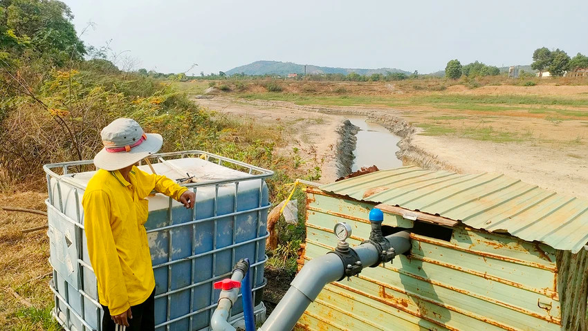 Anh Nguyễn Thanh Vũ mỗi ngày chỉ tưới nước chưa tới hai giờ do hạn hán, nước hồ khô kiệt. Ảnh: LK.