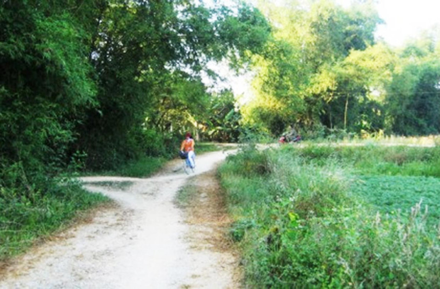 Con đường về làng (ảnh minh họa)