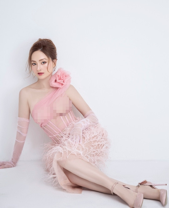 Phim truyền hình mới nhất cô tham gia là &quot;Gia đình mình vui bất thình lình&quot;