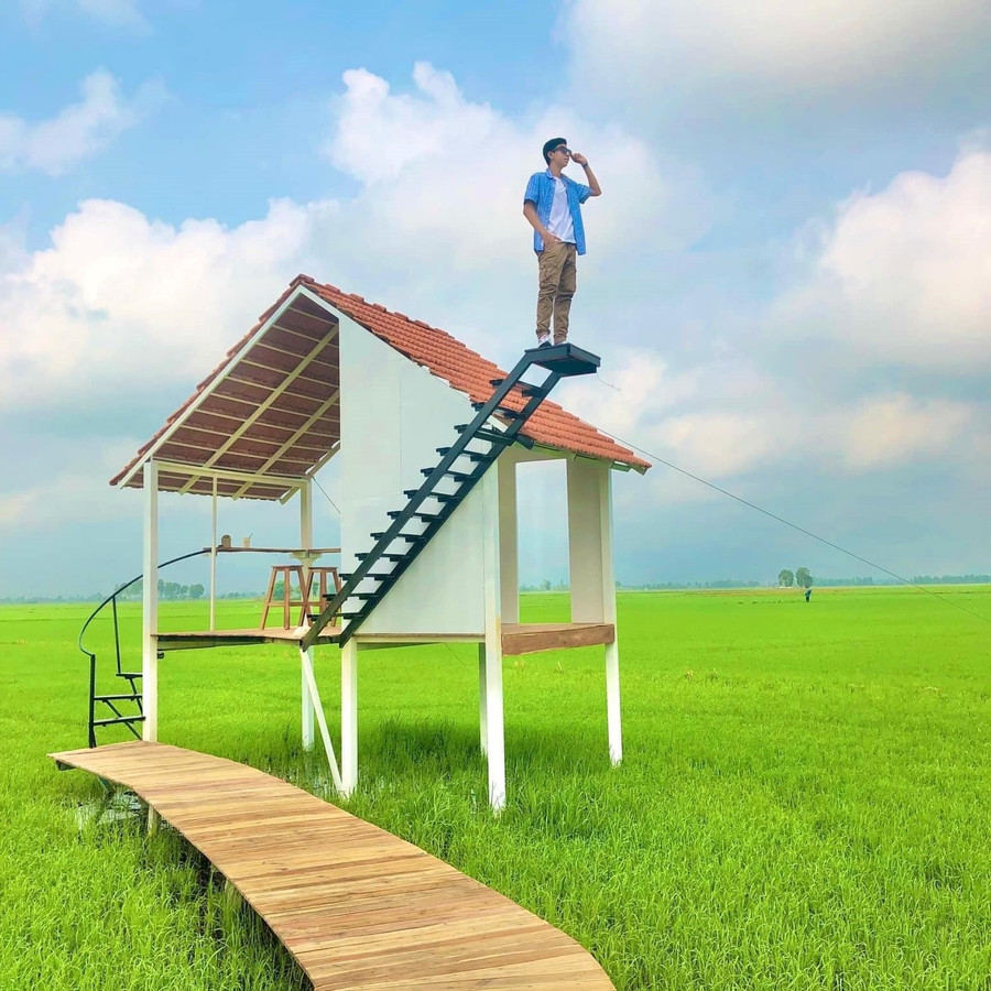 Tiểu cảnh "nhà chữa lành" nằm chơi vơi giữa ruộng lúa. Ảnh: Duy Tân Tiểu cảnh "nhà chữa lành" nằm chơi vơi giữa ruộng lúa. Ảnh: Duy Tân