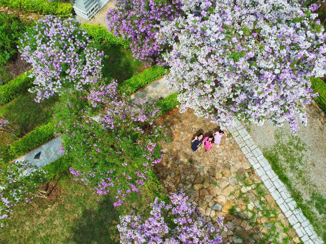 Nhiều người dân và du khách tìm đến Pháp Sơn tự vãng cảnh chùa, nhân tiện chụp những tấm ảnh để làm kỷ niệm. Ảnh: PHẠM BÁ DUY