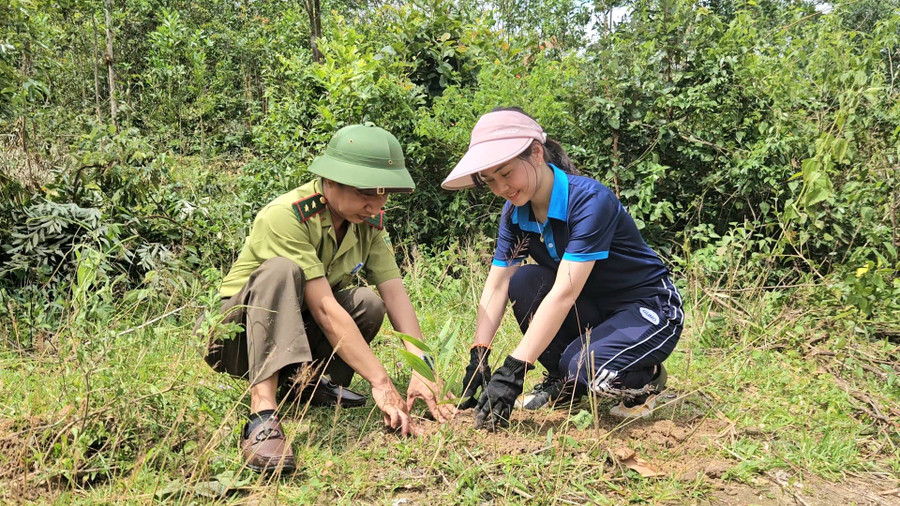 Chị Đỗ Thị Thùy-Trưởng nhóm thiện nguyện Kết nối yêu thương cùng cán bộ Kiểm lâm trồng cây tại xã Biển Hồ. Ảnh: Ngọc Duy videocapture-20250803-100938.jpg