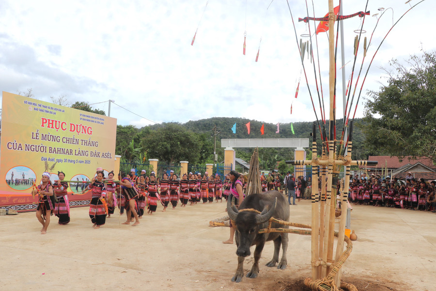 Mừng chiến thắng là nghi lễ linh thiêng gắn bó với lịch sử sinh hoạt của cộng đồng người Bahnar ở làng Đăk A Sêl. Ảnh: Ngọc Minh img-5901-8014.jpg