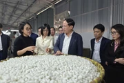 Phó Bí thư Tỉnh ủy, Chủ tịch UBND tỉnh Phạm Anh Tuấn thăm Công ty cổ phần Dâu tằm tơ Hàm Rồng và kiểm tra dự án đường Nguyễn Văn Linh.