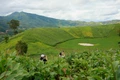 Chiêm ngưỡng Chư Đang Ya – top 10 ngọn núi lửa đẹp nhất thế giới