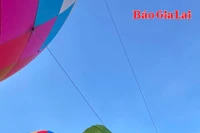 Hành động đẹp "vì một lễ hội không rác"