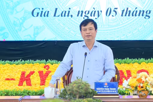 Phó Chủ tịch Thường trực UBND tỉnh Nguyễn Tuấn Thanh phát biểu chỉ đạo. Ảnh: Nhật Trường