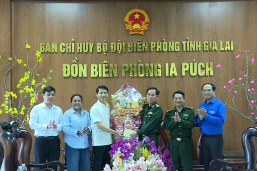 Phó Bí thư Tỉnh ủy Nguyễn Ngọc Lương thăm, chúc Tết 2 Đồn Biên phòng Ia Pnôn và Ia Púch