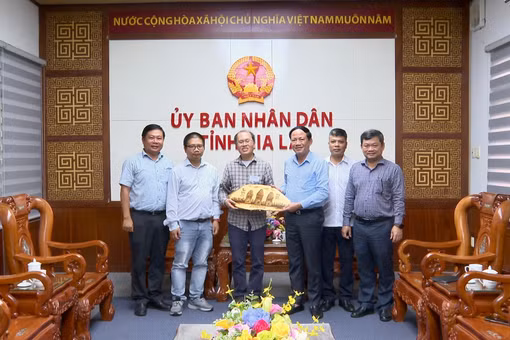 Chủ tịch UBND tỉnh Phạm Anh Tuấn tiếp và làm việc với Giáo sư Đàm Thanh Sơn