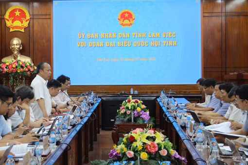 Đoàn khảo sát của Đoàn ĐBQH tỉnh Gia Lai làm việc với UBND tỉnh về thực hiện chính sách, pháp luật đất đai