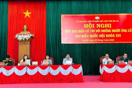 Các ứng cử viên ĐBQH khóa XVI nhấn mạnh tinh thần “hành động đi đôi với cam kết”