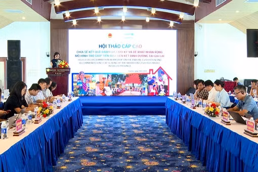 Đánh giá mô hình tiền mặt liên kết dinh dưỡng tại Gia Lai