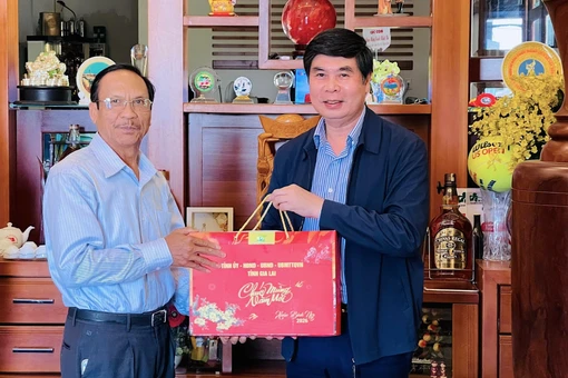 Phó Chủ tịch UBND tỉnh Lâm Hải Giang thăm, tặng quà nguyên lãnh đạo tỉnh và người có công