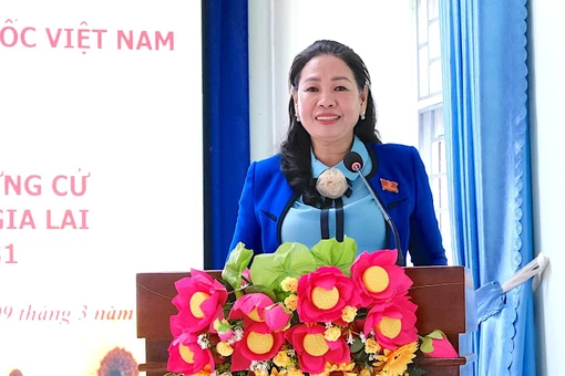 Ứng cử viên HĐND tỉnh khóa XIII tiếp xúc cử tri tại xã Canh Liên 