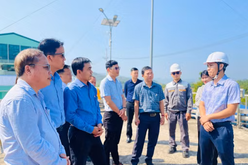 Khởi đầu quan hệ hợp tác giữa Trường Đại học Quy Nhơn và Công ty Cổ phần Becamex Bình Định