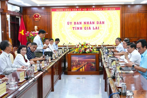 Chủ tịch UBND tỉnh Gia Lai Phạm Anh Tuấn tiếp và làm việc với Hiệp hội sắn Việt Nam.