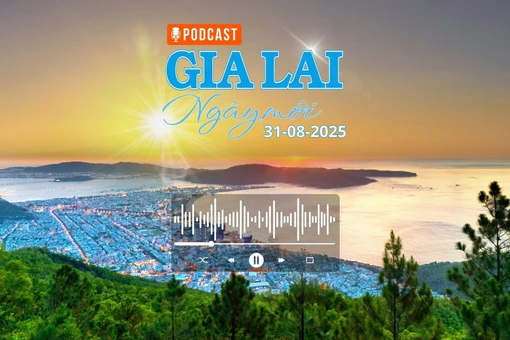 Gia Lai ngày mới 31-8: Top 5 địa điểm cắm trại, săn ảnh cực chill ở Gia Lai dịp Quốc khánh