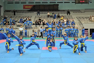 Hơn 400 vận động viên tranh tài Giải Vô địch Vovinam tỉnh Gia Lai