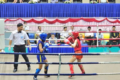 110 vận động viên tranh tài ở giải vô địch kickboxing tỉnh Gia Lai