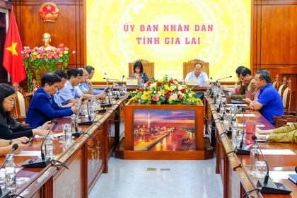 Quang cảnh dự hội nghị tại điểm cầu tỉnh Gia Lai. Ảnh: Ngọc Nhuận