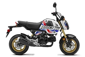 Honda MSX 125 – chiếc xe thể thao nhỏ gọn, thiết kế cá tính, dễ lái và tiết kiệm nhiên liệu, mang lại trải nghiệm tuyệt vời cho người mới bắt đầu. Giá chỉ từ 60 triệu đồng.