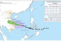 Dự báo chiều nay bão sẽ chỉ còn cách Quy Nhơn 120km. Ảnh: P.V