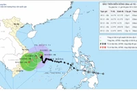 Bão số 15 đi chậm, giảm cấp dần khi tiến vào vùng biển Gia Lai-Đắk Lắk